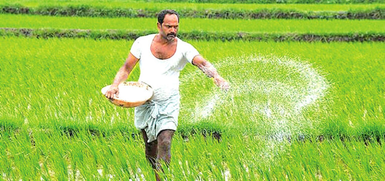 Fertiliser subsidy scheme begins in Ampara, expands nationwide in phases
