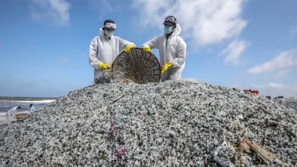 Global Plastics Treaty expected to address maritime disasters: UN Environment Chief