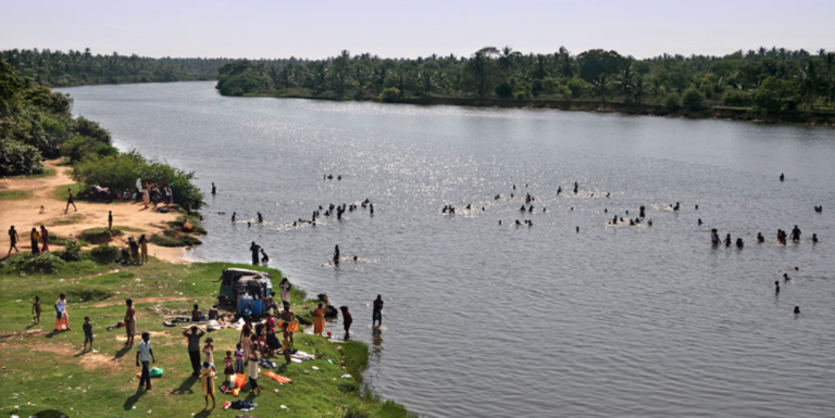Fishermen in Deduru Oya Report Threat from Venomous Snake-Headed Fish Species