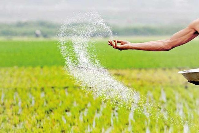 Govt launches fertiliser subsidy for ‘Maha Season’ with over Rs. 440 mn disbursed so far