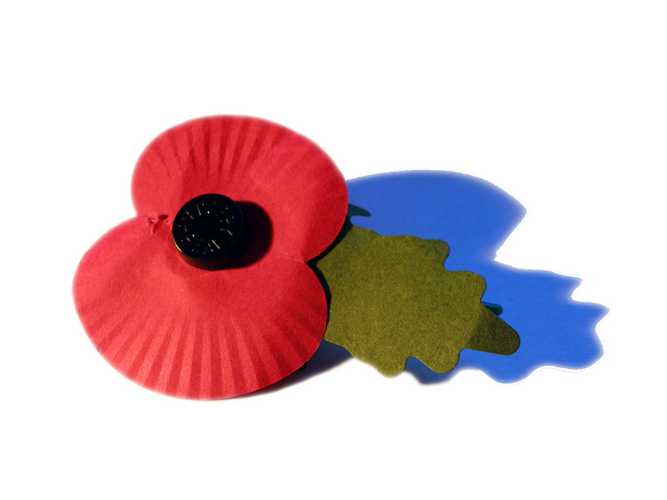 Annual Poppy Flower Remembrance to honour fallen soldiers set for Nov 24