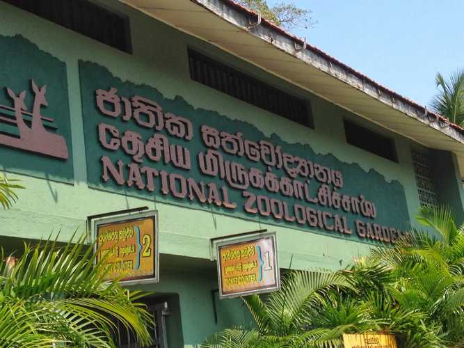 National Zoological Gardens sees significant revenue growth in 2024
