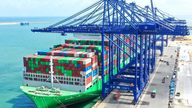 Government Takes Responsibility for Release of Uninspected Containers amid Port Congestion Issues