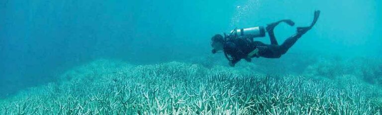 Sri Lanka to sign Biodiversity Agreement for Ocean Conservation