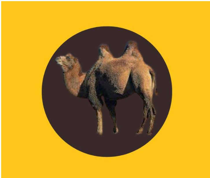 A CAMEL FLAG INSTEAD OF THE LION FLAG…?