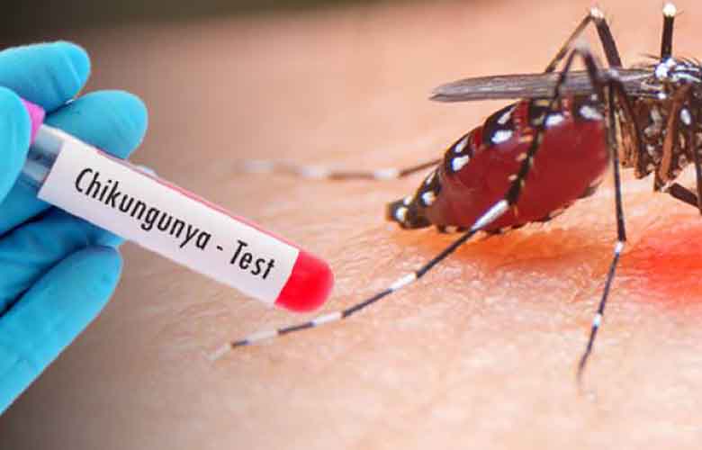 An individual wearing a blue glove holds a blood sample labeled "Chikungunya - Test" near a mosquito feeding on skin, indicating a focus on chikungunya virus testing related to mosquito transmission.