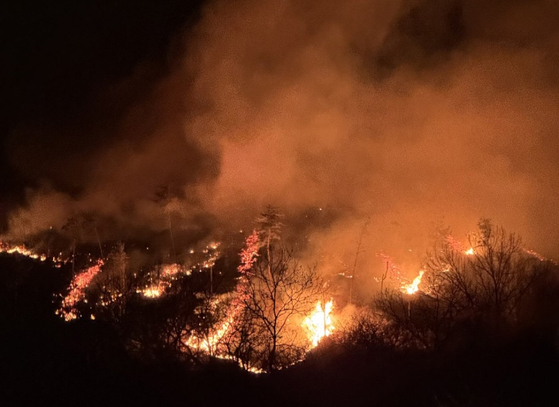 SL Embassy in South Korea confirms safety of citizens amid devastating forest fires