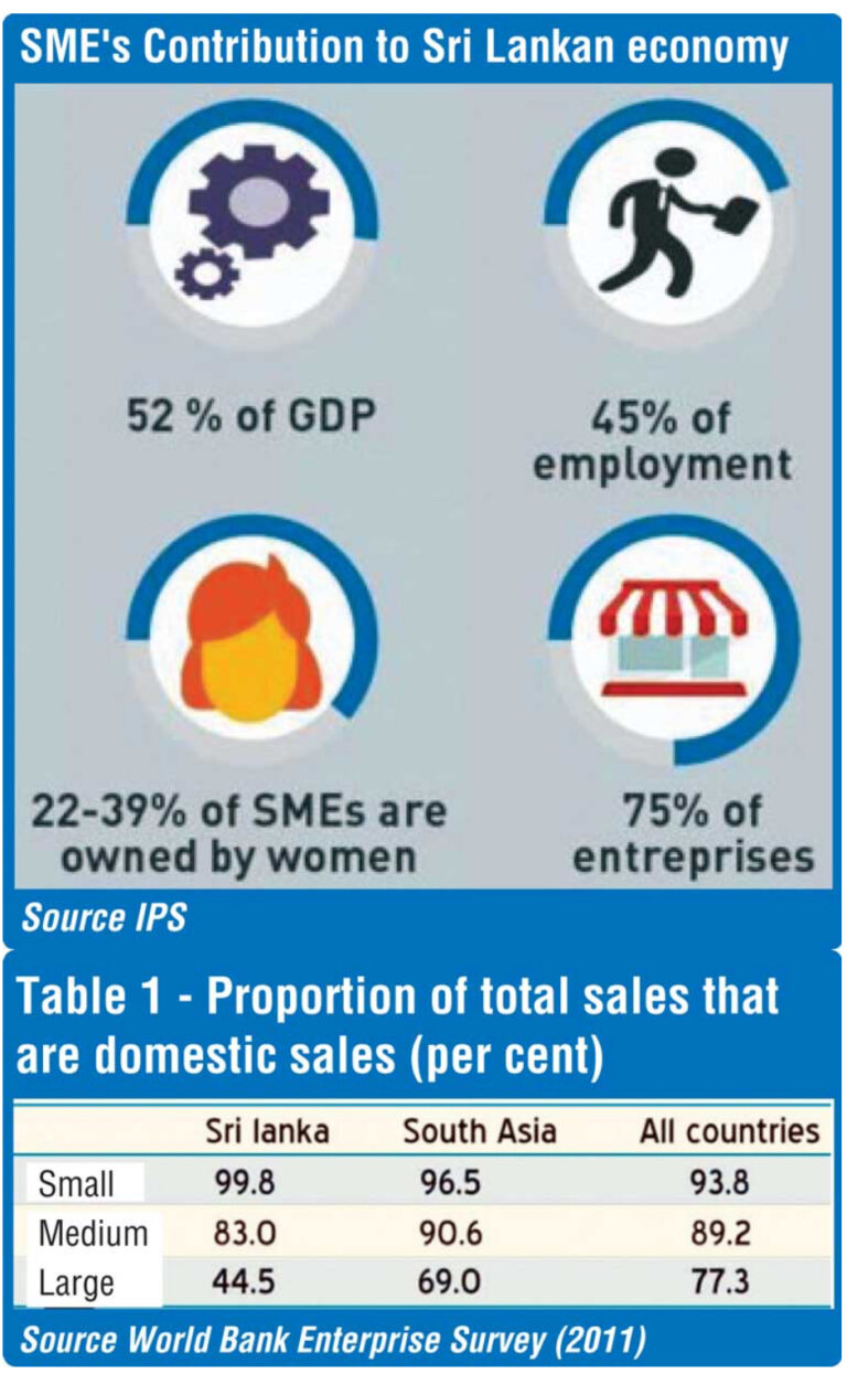 Reviving Sri Lanka’s SMEs: Sustainable roadmap
