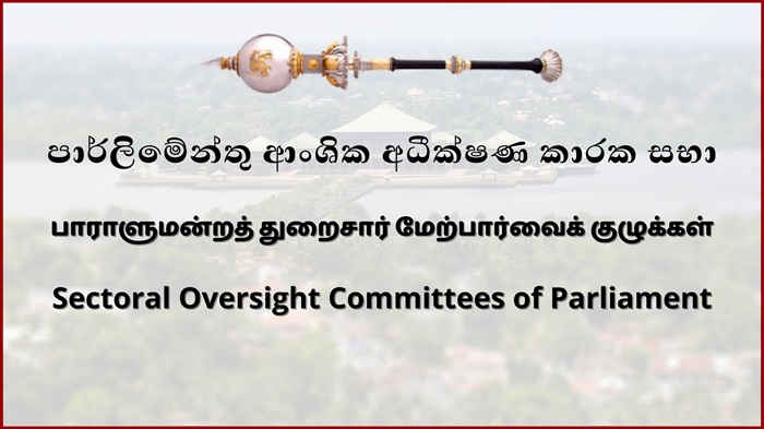 Parliament approves formation of seven sectoral oversight committees