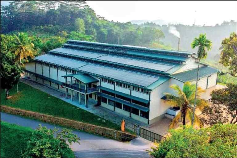 Hayleys Plantations Unveils Sri Lanka’s Most Advanced Eco-Friendly Tea Factory