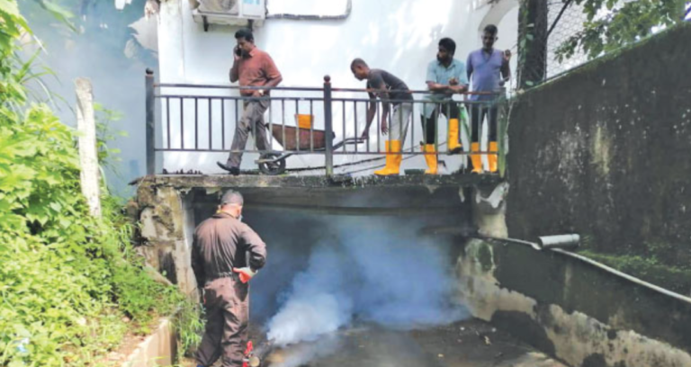 Legal Action Taken Against Dengue Breeding Sites in Ratnapura