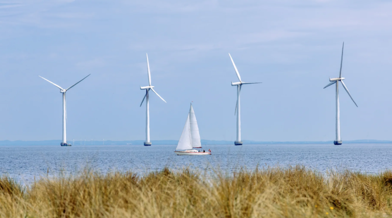 ‘Wind theft’: The mysterious effect plaguing wind farms