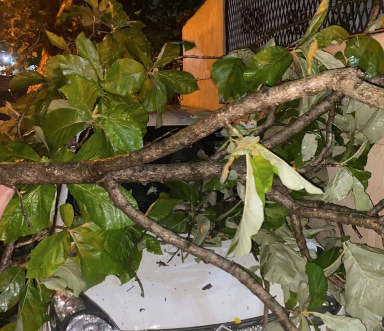Strong Winds Cause Widespread Damage in Colombo