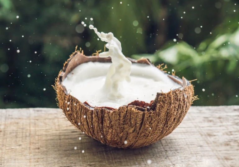 First Imported Coconut Milk Consignment Undergoes Testing as Government Targets Lower Prices