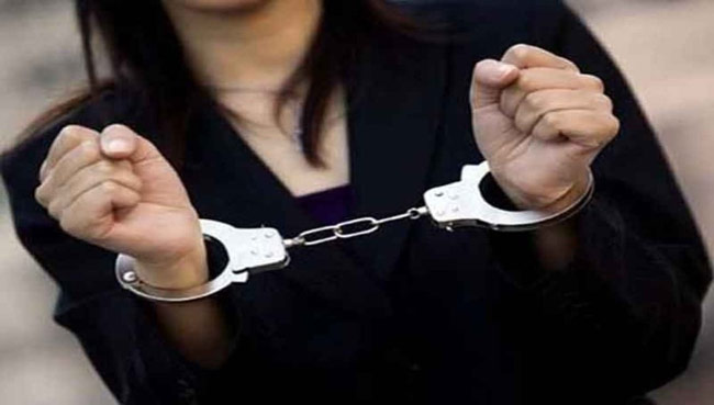 Businesswoman and wife of ex-state minister arrested in high-profile tax evasion case