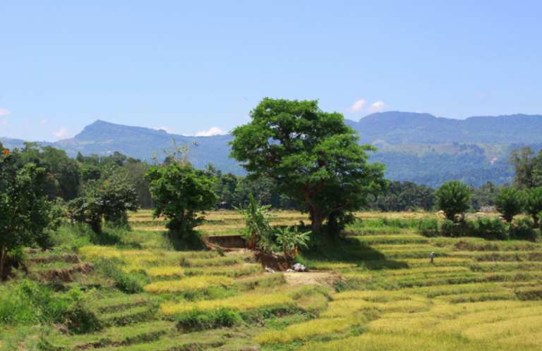 Government Investigates Misuse of Mahaweli Lands by Politically Influential Individuals