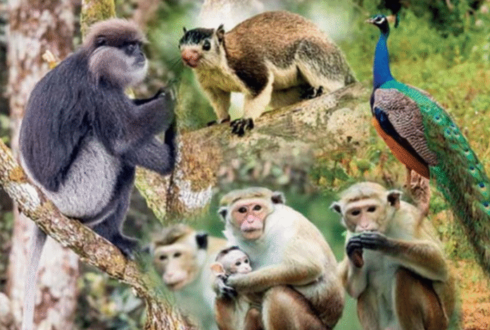 Screenshot 2025-06-13 at 07.28.51