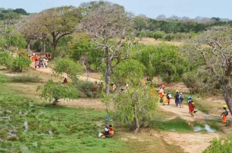 Kumana Entrance to Yala National Park Reopens for Annual Kataragama Pilgrimage