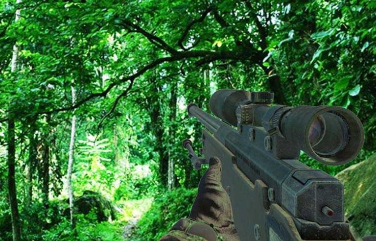 Forest authorities launch probe into firearms in protected reserves amid rise in wildlife shootings