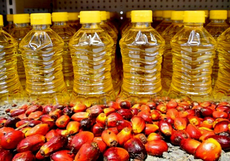 Raw Material Ban Drains Sri Lanka’s Palm Oil based product Forex Earnings