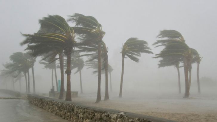143 km of Sri Lanka’s Coastline Polluted Following Cyclone Ditwah – MEPA Launches Major Cleanup
