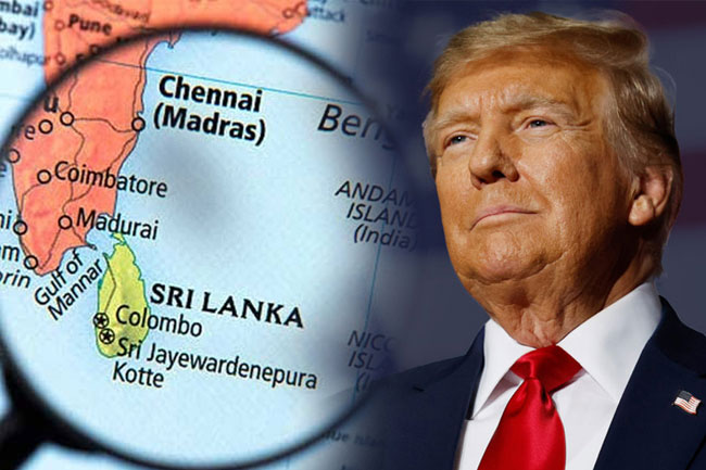 Sri Lanka Government Plans New Export Strategy to Counter US Tariff Blow