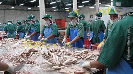 US Tariff Cut Not Enough: Sri Lanka’s Seafood Exports Struggle to Stay Afloat