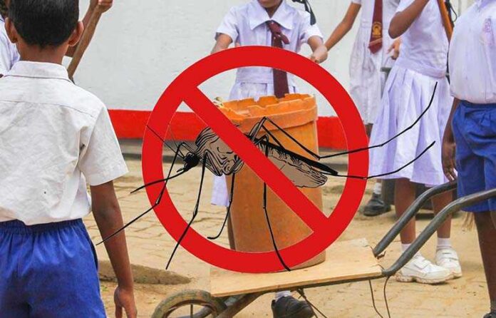 dengue health dengue eradication schools dengue breeding grounds mosquito breeding site