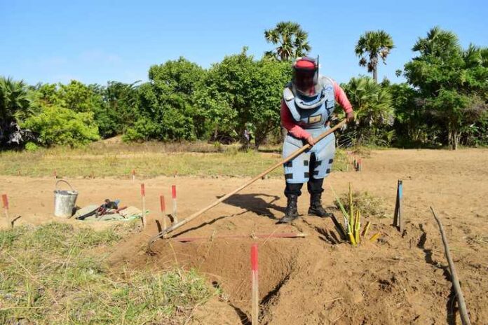 Accelerated Landmine Clearance Paves Way for Final Resettlements