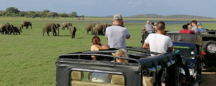 Sri Lanka Launches Online Ticketing to Ease National Park Queues