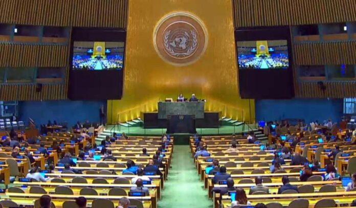 Government Backs UN Resolution Endorsing Two-State Solution for Palestine