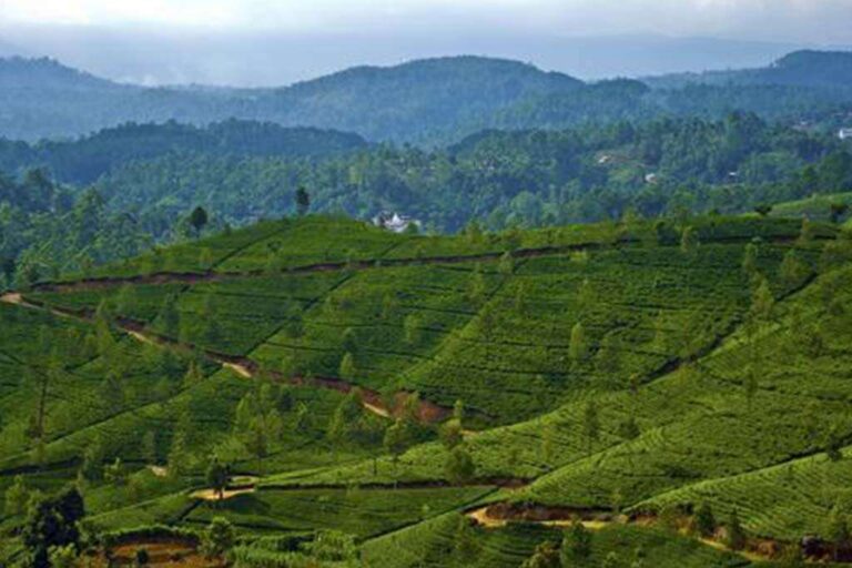 Government Pushes Land Leases for Industries amid Economic Challenges