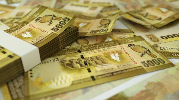 Massive Financial Irregularities Uncovered in Central Cultural Fund Operations