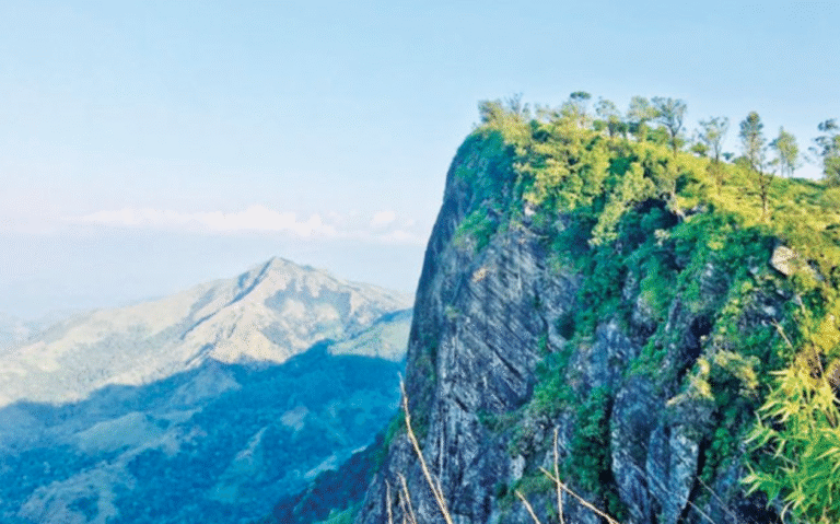 Mini World’s End Temporarily Closed Following Wasp Attacks