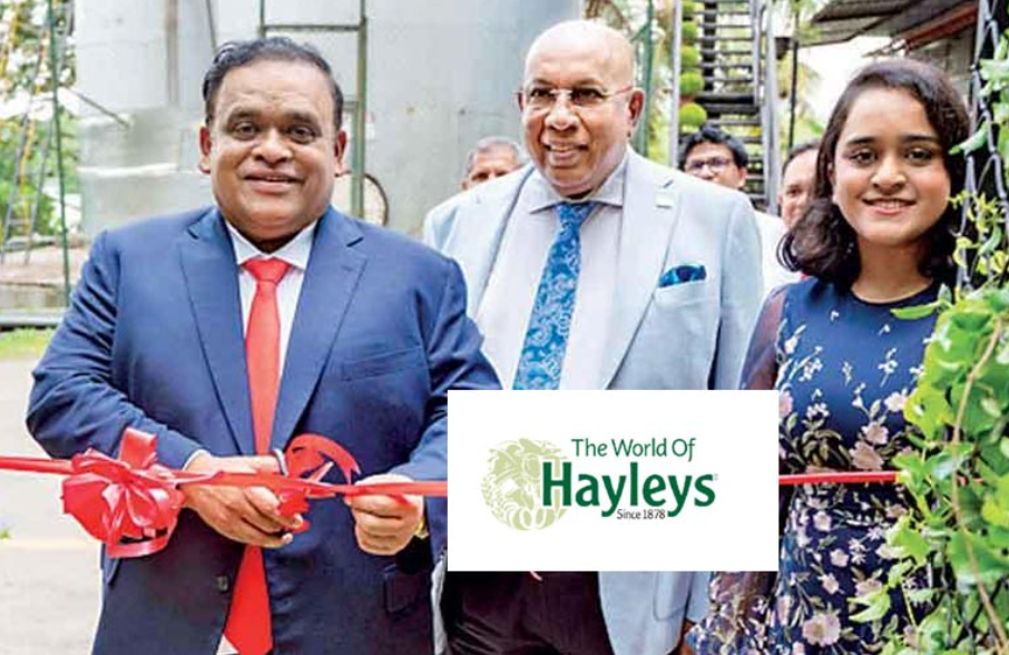 Dhammika Perera’s Hayleys Group to Launch 100 Supermarkets Across Sri Lanka