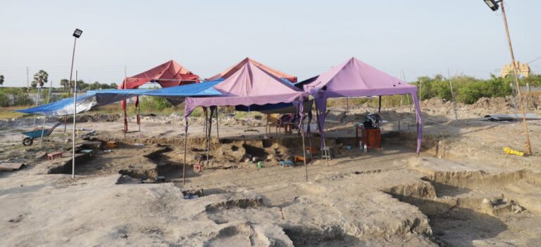 Chemmani Mass Grave Excavation Delayed After Heavy Rainfall Floods Site