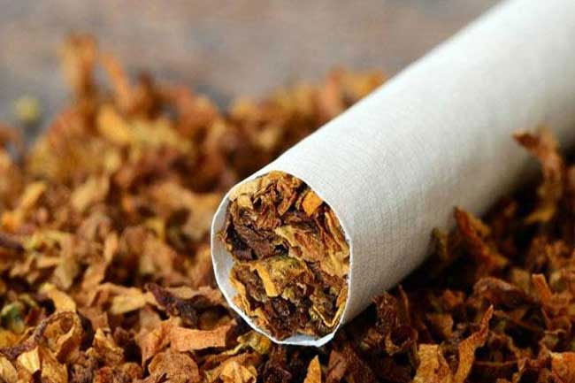 Expert Calls for Rethink on Tobacco Control as New Figures Show Potential for Massive Health Savings