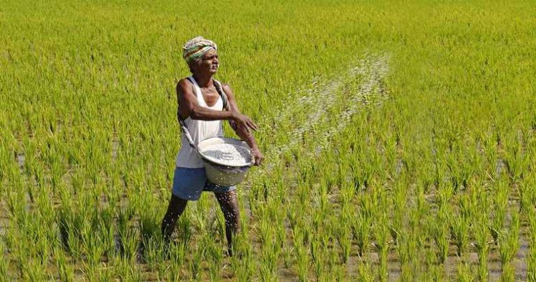Government to Recover Subsidy Funds from Farmers Who Leave Land Uncultivated