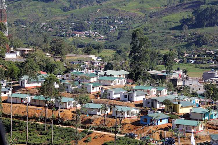 Beyond Relief: What Sri Lanka’s Plantations Need Now?