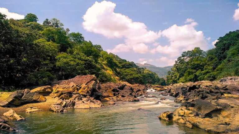 SL’s Main River Systems Flow Steadily, Show No Signs of Flood Risk