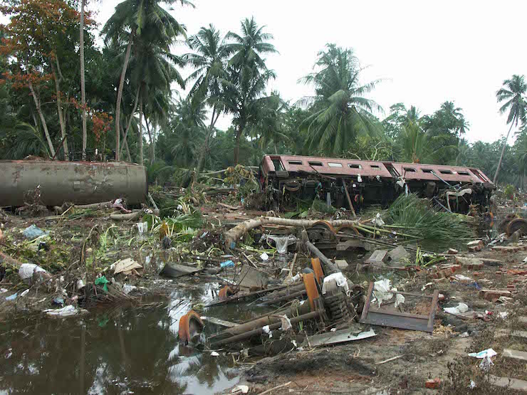 Remembering the Waves That Changed a Nation: 21 Years Since the Tsunami