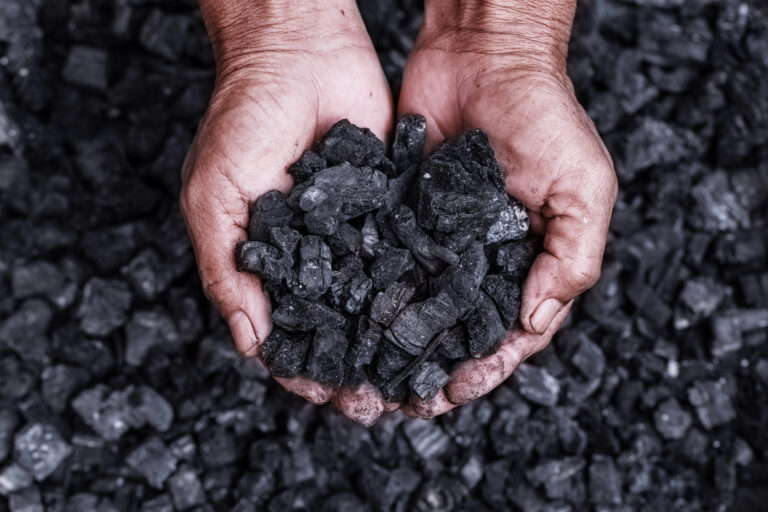 ECA Alleges Daily Rs. 75 Mn Loss Due to Substandard Coal at Norochcholai