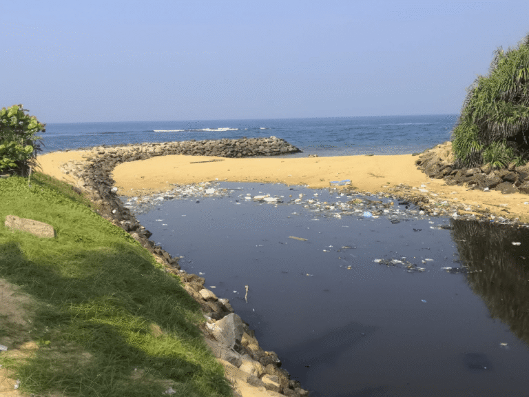 Roads Cleaned, Beaches Ignored: Dehiwala–Mount Lavinia Municipal Council Under Fire