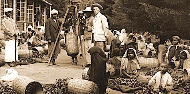 Experts Urge Evidence-Based Reparations amid Colonial Debate