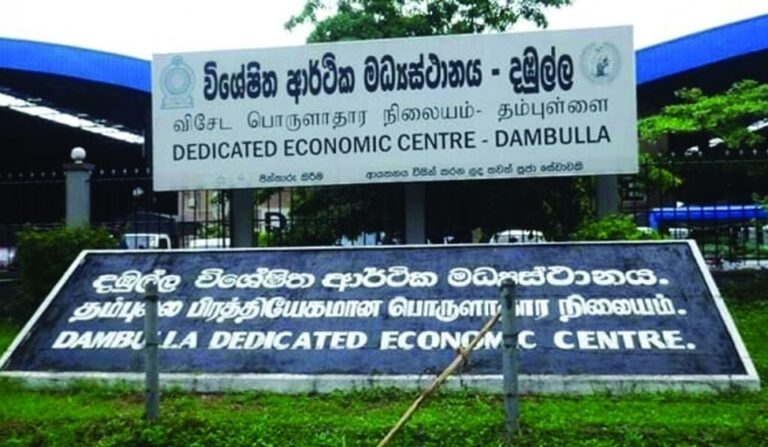Minister Warns of Illegal Sale of Dambulla Economic Centre Shop Units