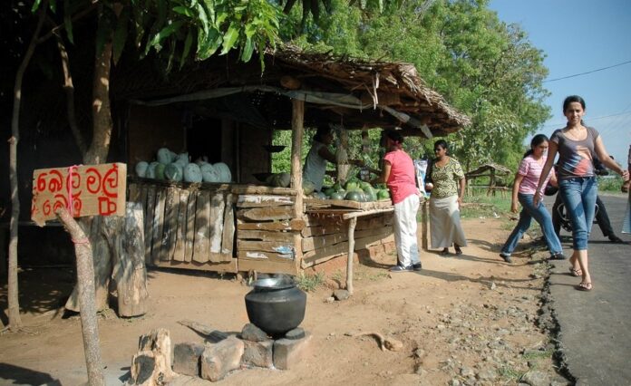 Udawalawa roadside boutique