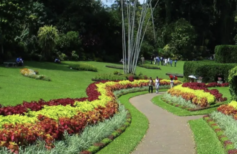 Botanical Gardens Revenue Exceeds Rs. 1 Billion in 2025