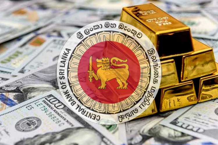 Sri Lanka’s Reserves Slip Slightly in January Amid Gold Gains