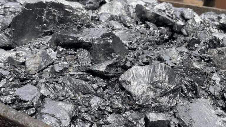 US Delegation Eyes Investment in Sri Lanka’s Strategic Graphite Industry