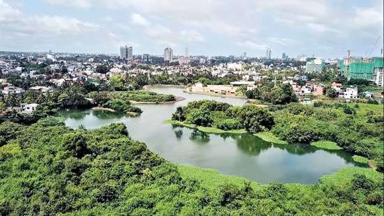 Wetlands for Sale: How Real Estate Is Redrawing Colombo’s Suburbs